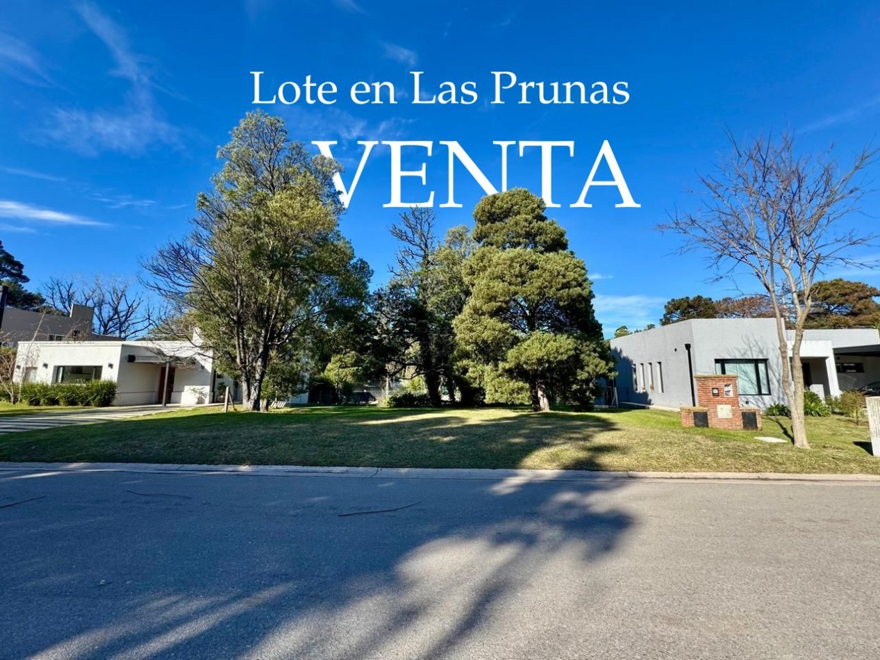 Lote en Las Prunas 